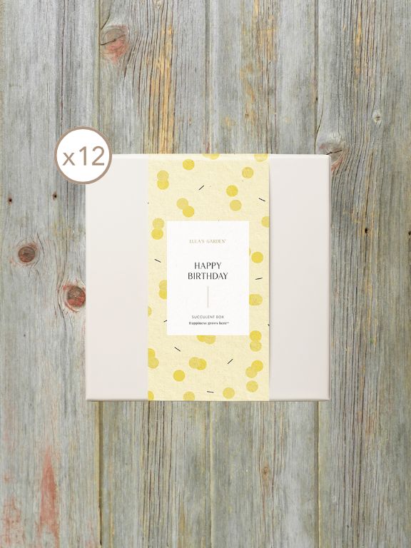 LULAS GARDEN URBAN SLEEVE - HAPPY BIRTHDAY
